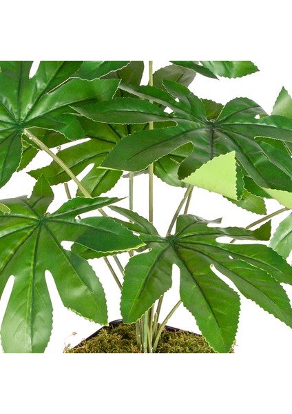 Saksı Da Yapay Bitki Fatsia-Japon Çınarı Gerçek Dokulu 9 Yaprak Yeşil fiyatları