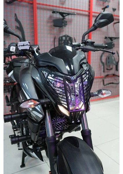Bajaj Pulsar Ns 200-NS 150-NS 160-NS 125 Far Koruma Demiri (Cnc Kesim,statik Boyalı)- Arasmoto