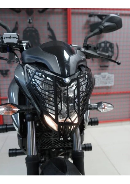 Bajaj Pulsar Ns 200-NS 150-NS 160-NS 125 Far Koruma Demiri (Cnc Kesim,statik Boyalı)- Arasmoto