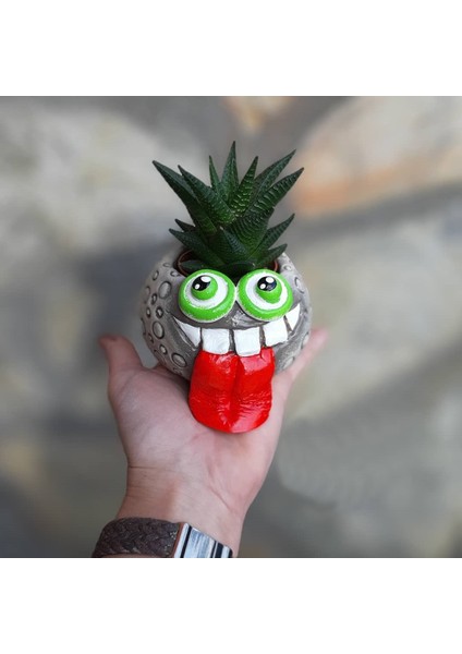 Dişli Canavar Saksı fiyatları