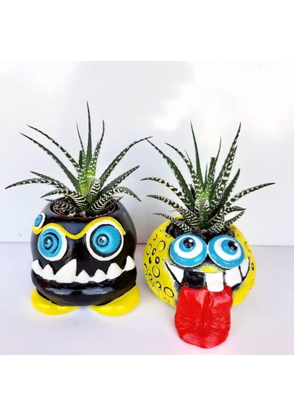 Dişli Canavar Saksı modelleri