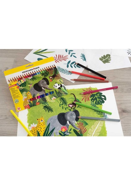 Colori Kalın Üçgen Kuruboya 24LÜ Set
