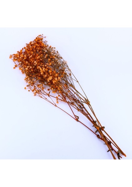 Kuru Çiçek Kurutulmuş Çiçek Cipso 40 cm 20 gr Turuncu