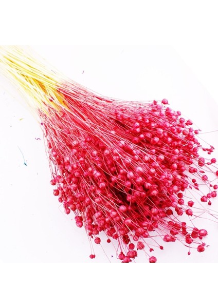 Kuru Çiçek Kurutulmuş Keten Otu Çiçeği 35 gr - 1 Demet Kırmızı fiyatları