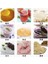 Hiçbir Milkshake Fincan Tarzı Mını Taşınabilir Elektrikli Meyve Sıkacağı Blender Bebek Maması Milkshake Mikser Kıyma Makinesi Işlevli Meyve Suyu Makinesi Makinesi Ab Abd (Yurt Dışından) 3