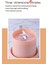 Mavi Stil Taşınabilir Mini Elektrikli Sıkacağı USB Şarj Edilebilir El Smoothie Blender Meyve Mikserleri Gıda Milkshake Suyu Yapıcı Makinesi (Yurt Dışından) 5