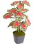 Saksıda Yapay Bitki Caladium-Kaladyum Demet Gerçek Dokulu 18 Yaprak 43 Cm. 1