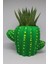 Cactus Garden Kaktus Saksı + Canlı Kaktus Veya Sukulent Bitki 1