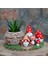 Hobbitköy Saksı Set 1