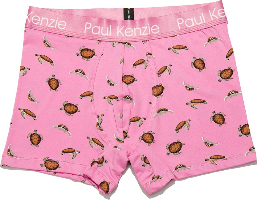 Paul Kenzie Desenli Erkek Boxer, Eco Characters, Turtley görsel 4