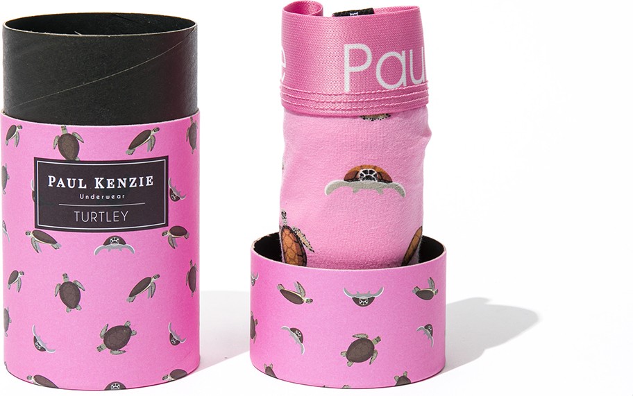 Paul Kenzie Desenli Erkek Boxer, Eco Characters, Turtley görsel 2