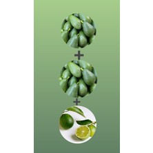 Kılınç Tropikal 2 kg Avokado 1 kg Limon