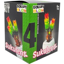 Gokidy Blok Sukulent Serisi - 1