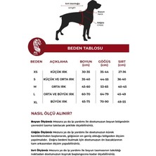 MG Tasma Kişiye Özel, Isimli Siyah French Bulldog Köpek Tasması, Göğüs ve Boyun Tasma Seti