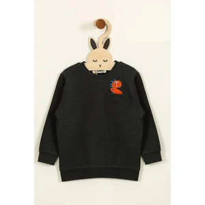Erkek  Dinazor Detaylı Interlok Sweatshirt