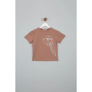 Erkek Çocuk Regular Fit Dinazor Baskılı Kısa Kollu Tişört