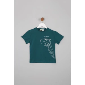 Erkek Çocuk Regular Fit Dinazor Baskılı Kısa Kollu Tişört