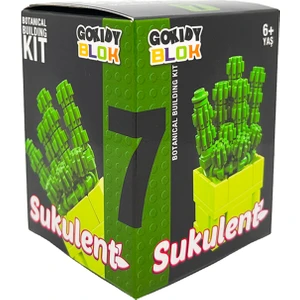 Blok Sukulent Serisi - 1