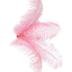 40 Adet Doğal Devekuşu Tüyleri Düğün Parti Dekorasyon Pembe 20-25 cm (Yurt Dışından)