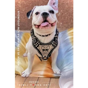 MG Tasma Kişiye Özel, Isimli Siyah French Bulldog Köpek Tasması, Göğüs ve Boyun Tasma Seti