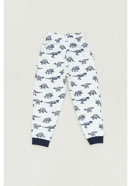 Baskılı Erkek Çocuk Pijama Altı fiyatları