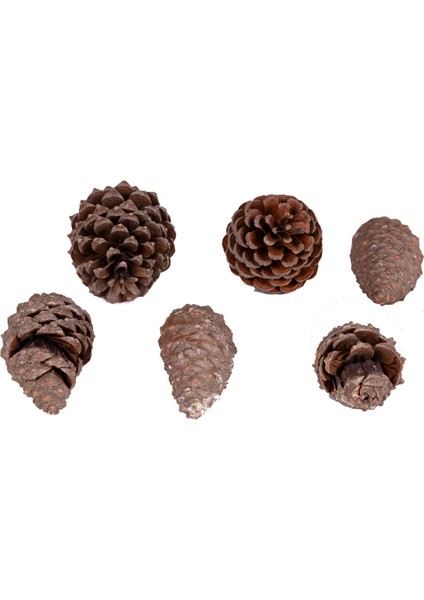 Kozalak 6'lı Paket 8 - 13 cm modelleri