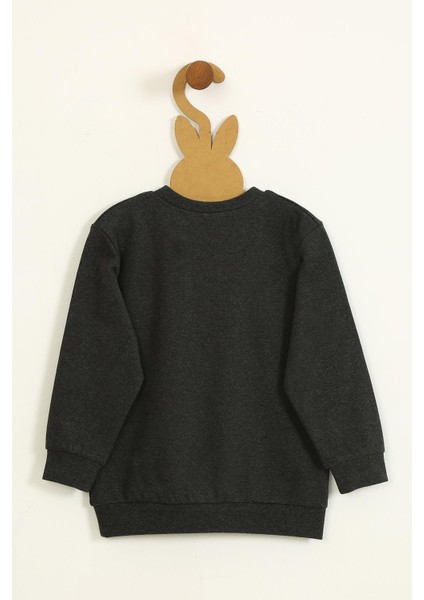 Erkek Dinazor Detaylı Interlok Sweatshirt