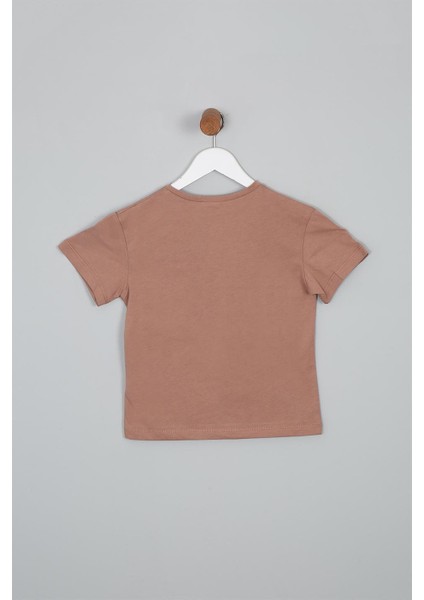 Erkek Çocuk Regular Fit Dinazor Baskılı Kısa Kollu Tişört fırsatları