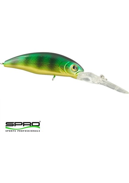 Pc-P Flatbellyshad 45F Perch