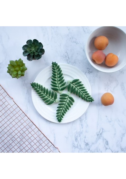 Aralia Tarzı Agave Ivy Kaplumbağa Arka Yaprak Kurabiye Kabartma Kalıpları Kurabiye Run Fondan Buzlanma Kurabiye Kesici Fırın Aksesuarları Pişirme (Yurt Dışından) modelleri