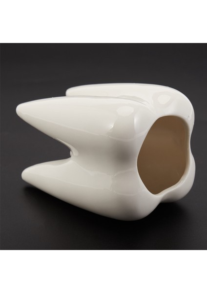 3x Diş Şekli Beyaz Seramik Saksı Modern Tasarım Ekici Diş Modeli Mini Masaüstü Pot Yaratıcı Hediye (Bitkiler Olmadan) (Yurt Dışından)