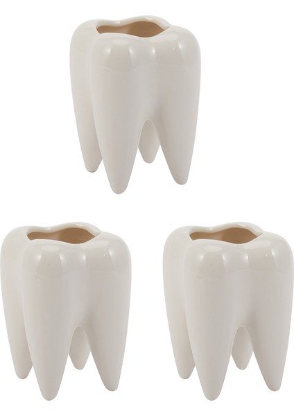 3x Diş Şekli Beyaz Seramik Saksı Modern Tasarım Ekici Diş Modeli Mini Masaüstü Pot Yaratıcı Hediye (Bitkiler Olmadan) (Yurt Dışından)