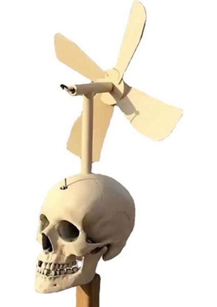 Bahçe Kafatası Dekor Cadılar Bayramı Rüzgar Kafatası Whirligig Dekorasyon Cadılar Bayramı Dekorasyon Fırıldak Yard Ev Süsleme (Yurt Dışından)