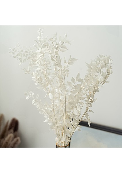 16X45 cm Kurutulmuş Sonsuza Kadar Korunmuş Ruscus Çiçekler Dıy Çiçek Dekorasyon Kuru Çiçek Buketi Düğün Ev Dekor Için (Yurt Dışından)