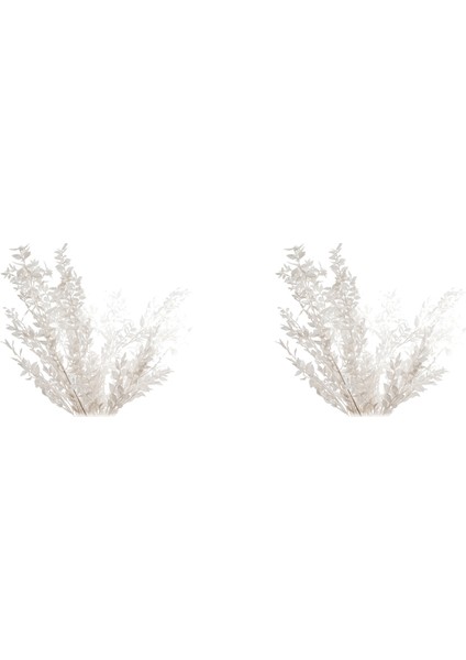 16X45 cm Kurutulmuş Sonsuza Kadar Korunmuş Ruscus Çiçekler Dıy Çiçek Dekorasyon Kuru Çiçek Buketi Düğün Ev Dekor Için (Yurt Dışından) fiyatları