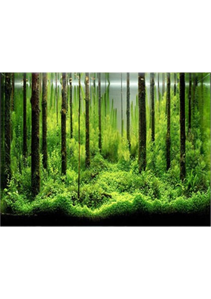 Yapışkanlı Sualtı Orman Arka Plan Posteri Zemin Dekor Aper Sualtı Dünyası Dekoratif Sticker Balık Tankı Çıkartmalar (Yurt Dışından) modelleri