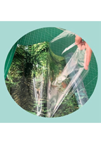 Yapışkanlı Sualtı Orman Arka Plan Posteri Zemin Dekor Aper Sualtı Dünyası Dekoratif Sticker Balık Tankı Çıkartmalar (Yurt Dışından) indirimleri