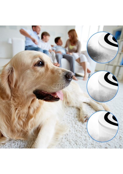 Levoit Hava Temizleme Filtresi Core 300 Için Filtre Levoit Aktif Karbon Filtre Çekirdek 300 Levoit Hava Temizleme Filtresi Çekirdek 300 (Yurt Dışından) fiyatları