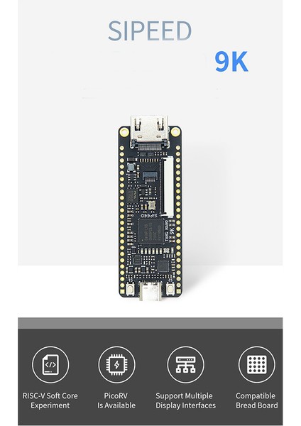 Tang Nano 9 K Fpga Geliştirme Kurulu Için Gowın GW1NR-9 Rısc-V Hd C Tipi Kablo ile (Yurt Dışından)