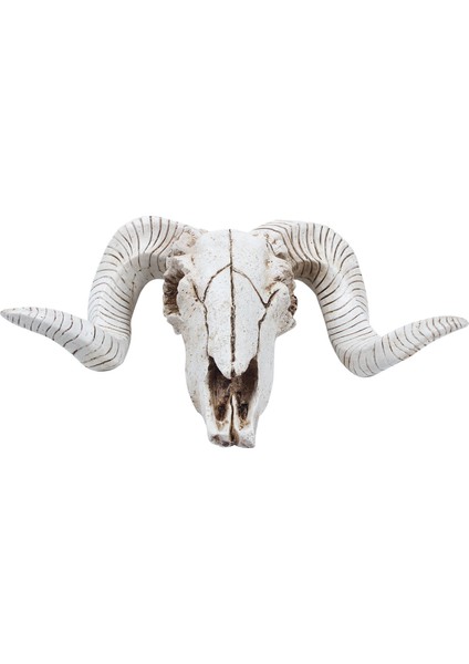 Reçine Koyun Kafası Kafatası Kafa Duvar Asılı 3D Hayvan Longhorn Heykel Figürler El Sanatları Boynuzları Ev Dekor Süsler (Yurt Dışından)