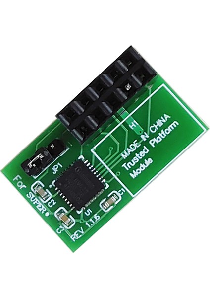 --9670H Için 1 Pc 10 Pin Spı 2.0 Modülü Güvenilir Platform (Yurt Dışından)