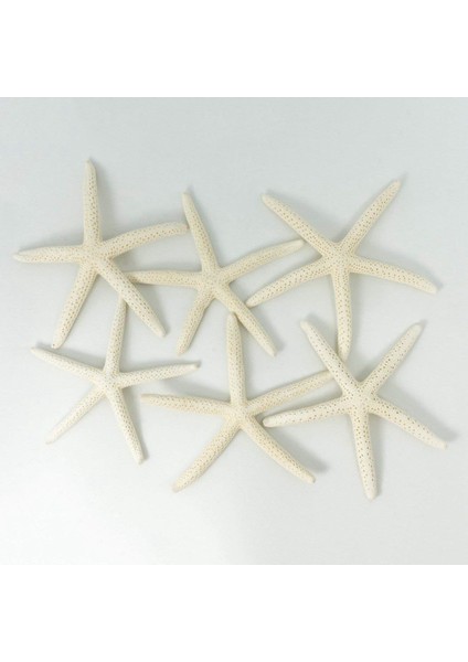12PCS Beyaz Parmak Denizyıldızı 5-10CM Dekoratif Beş Parmak Denizyıldızı (Yurt Dışından) modelleri