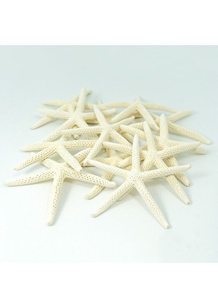 12PCS Beyaz Parmak Denizyıldızı 5-10CM Dekoratif Beş Parmak Denizyıldızı (Yurt Dışından) fırsatları