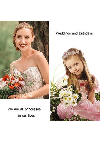Doğum Günü Tiaras Kızlar Için Doğum Günü Taç Kanat Mutlu Doğum Günü Kız Prenses Doğum Günü Partisi Süslemeleri Hediyeler Stil B (Yurt Dışından)