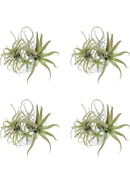 16 Paket Yapay Ananas Çim Hava Bitkileri Sahte Çiçekler Sahte Akın Tillandsia Bromeliads Ev Bahçe Dekor (Yurt Dışından)