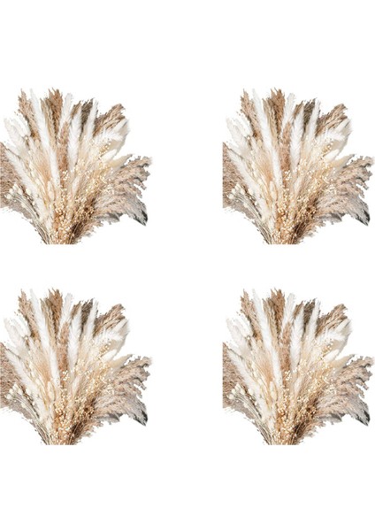 400 Adet Buket Doğal Kurutulmuş Pampas Çim Buketi Kurutulmuş Çiçek Boho Ev Dekor Buket Düğün Için Çiçek (Yurt Dışından) fiyatları