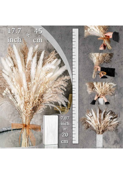 400 Adet Buket Doğal Kurutulmuş Pampas Çim Buketi Kurutulmuş Çiçek Boho Ev Dekor Buket Düğün Için Çiçek (Yurt Dışından) modelleri