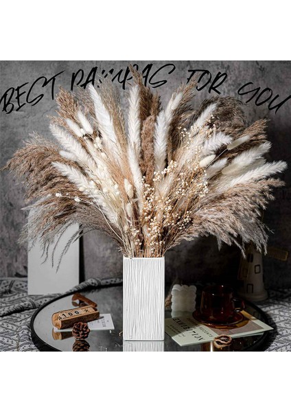 400 Adet Buket Doğal Kurutulmuş Pampas Çim Buketi Kurutulmuş Çiçek Boho Ev Dekor Buket Düğün Için Çiçek (Yurt Dışından) indirimleri