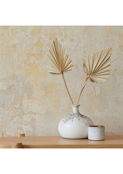 20 Adet Boho Kurutulmuş Palm Spears Doğal Kurutulmuş Palmiye Fanları Kurutulmuş Palmiye Yaprakları Kurutulmuş Palmiye Yaprağı Palmiye Yelpazesi Yaprağı Kök ile (Yurt Dışından)