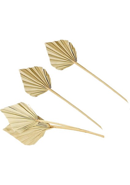 20 Adet Boho Kurutulmuş Palm Spears Doğal Kurutulmuş Palmiye Fanları Kurutulmuş Palmiye Yaprakları Kurutulmuş Palmiye Yaprağı Palmiye Yelpazesi Yaprağı Kök ile (Yurt Dışından)
